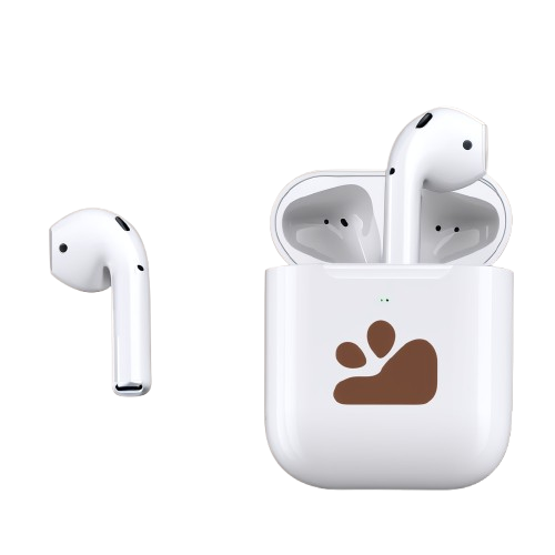 brown burn marks airpods